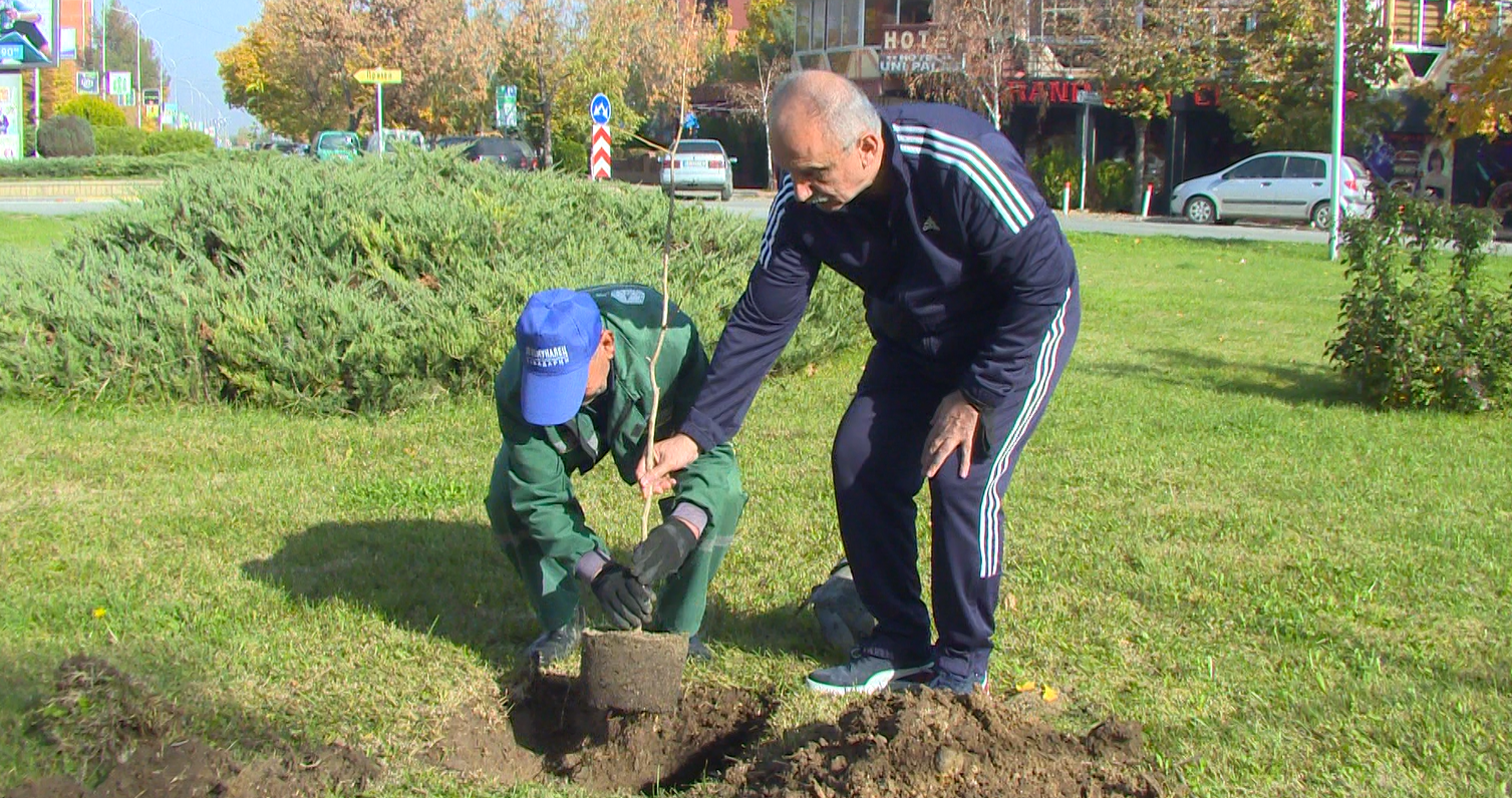 /Видео/  ГИНКО ВО НОВИОТ ЦЕНТАР НА КАВАДАРЦИ